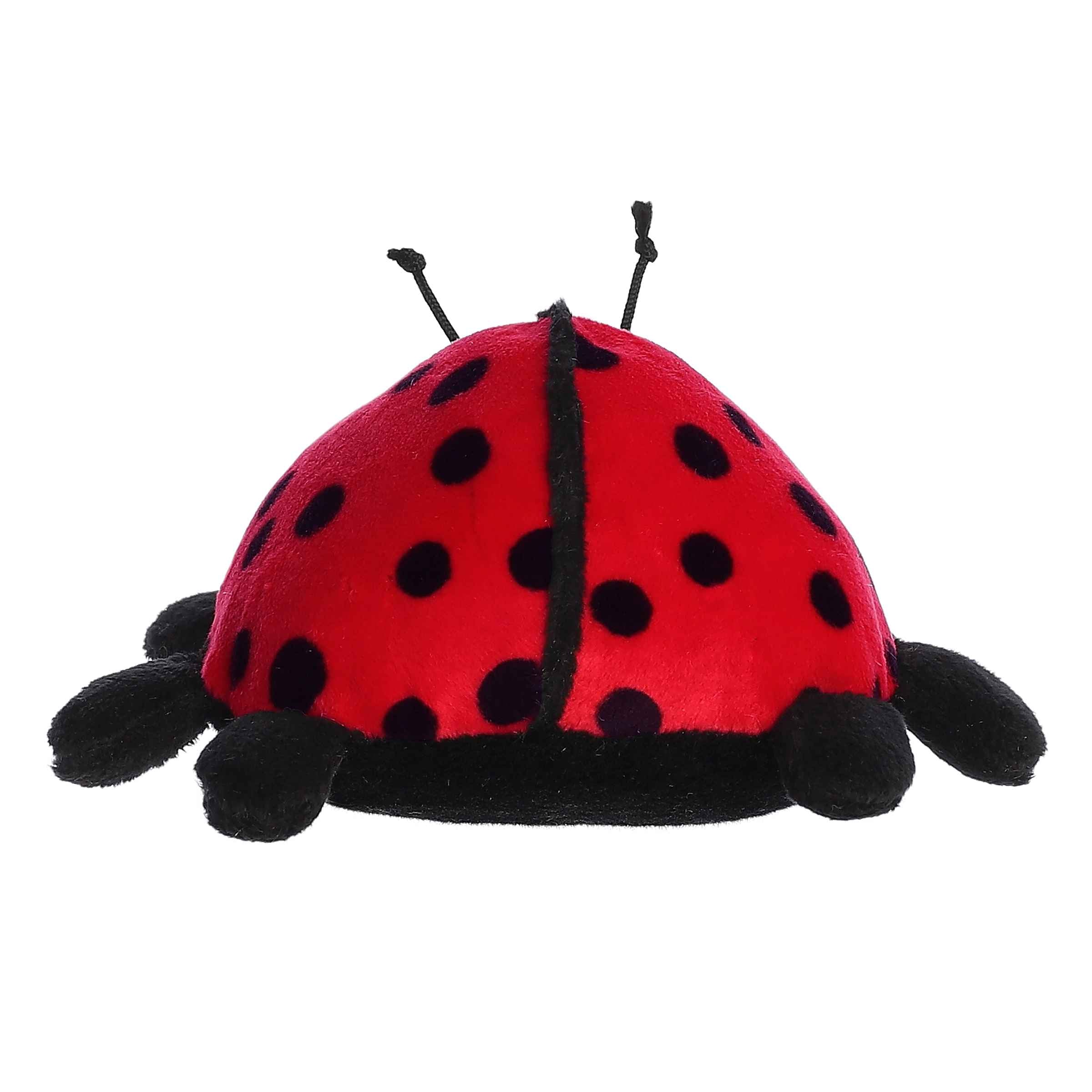 Aurora® - Eco Nation™ - Eco Softies™ - 8 Ladybug、mySite、g9winljtr