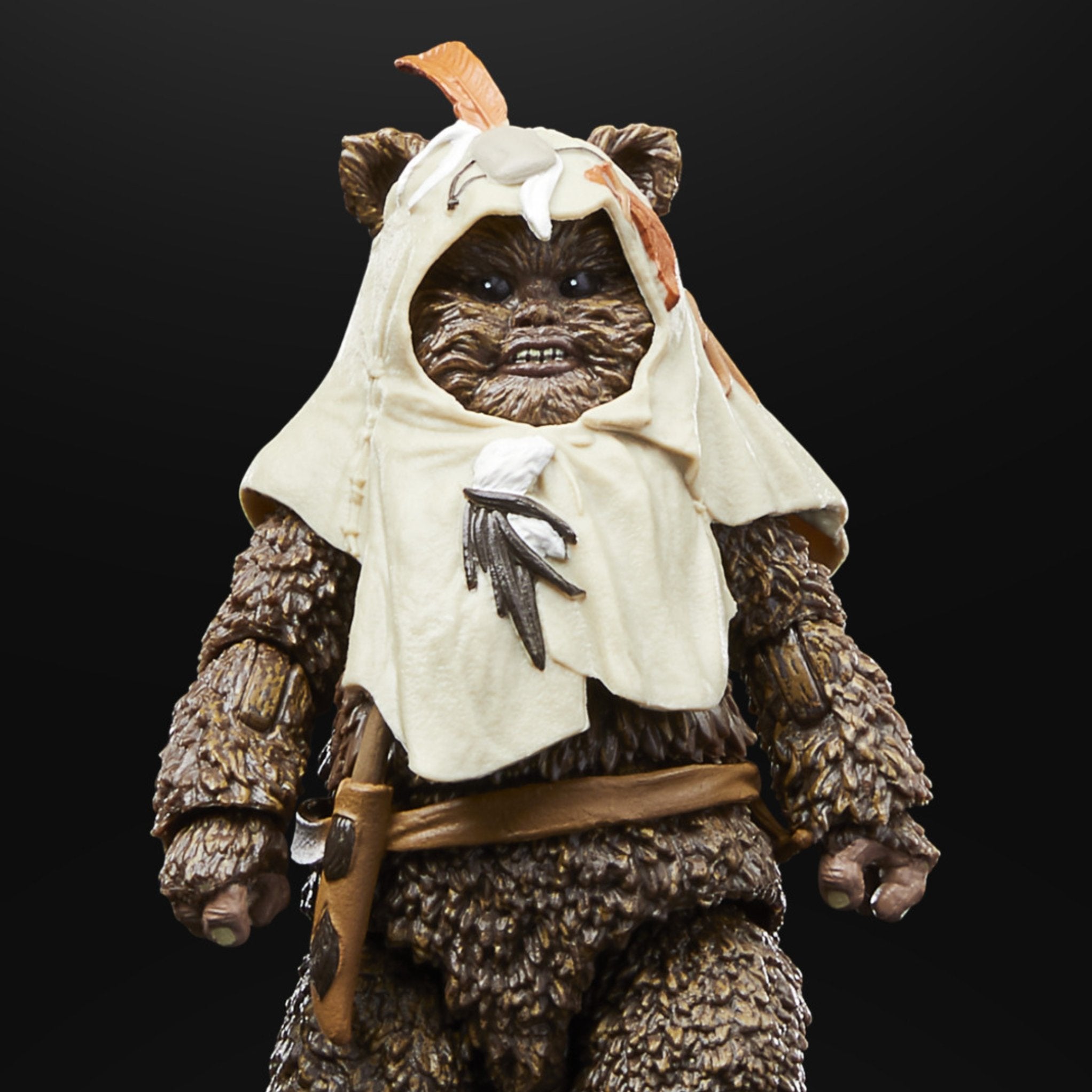 Star Wars The Black Series Paploo Return of the Jedi 40th Anniversary、mySite、hgirdovlk