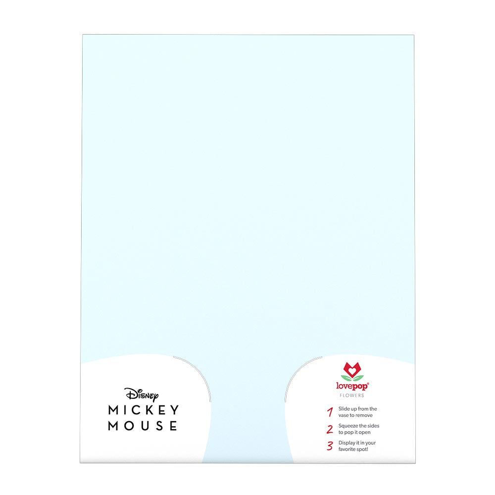 Disney’s Mickey & Minnie: Be Mine Bouquet、mySite、solidvoid