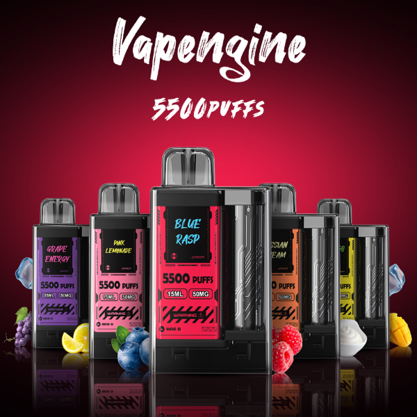 Vapengin 5500 Puffs Disposable 5-Pack、mySite、zt4zffjzw