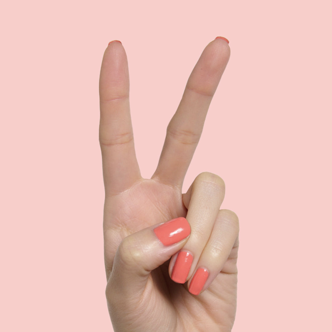 Carrot Juice、mySite、solidvoid