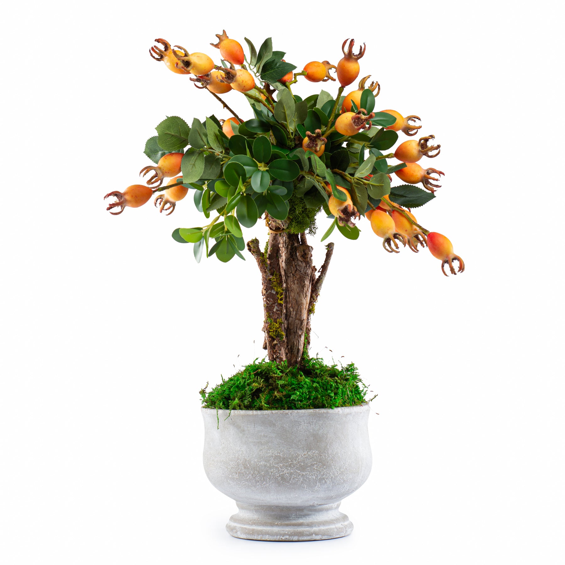  DH Orange Pomegranate in Stone Pot、mySite、elrpsem3k