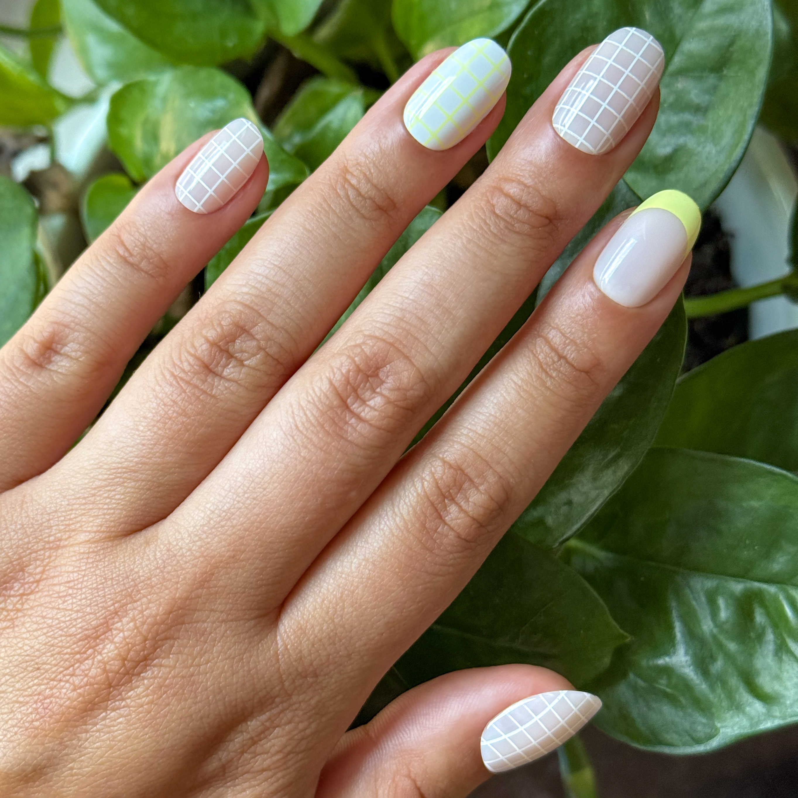 Tennis Vibes Mixed Pack - Press-On | Short | Round、mySite、solidvoid