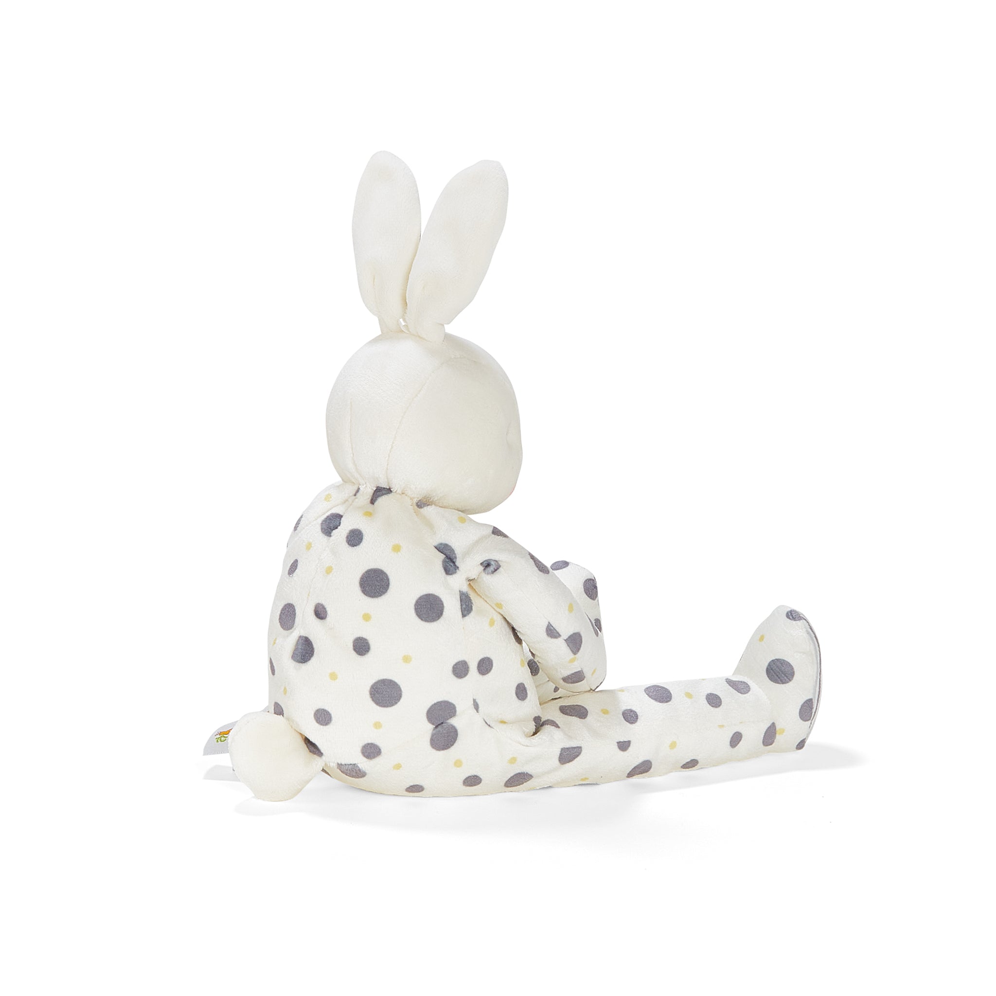 Big Bloom Buddy、mySite、g9winljtr