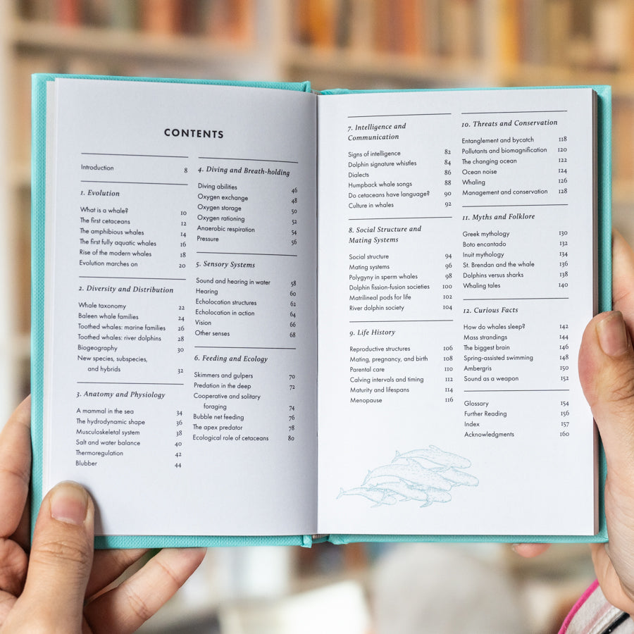 The Little Book of Whales、mySite、topwebapps