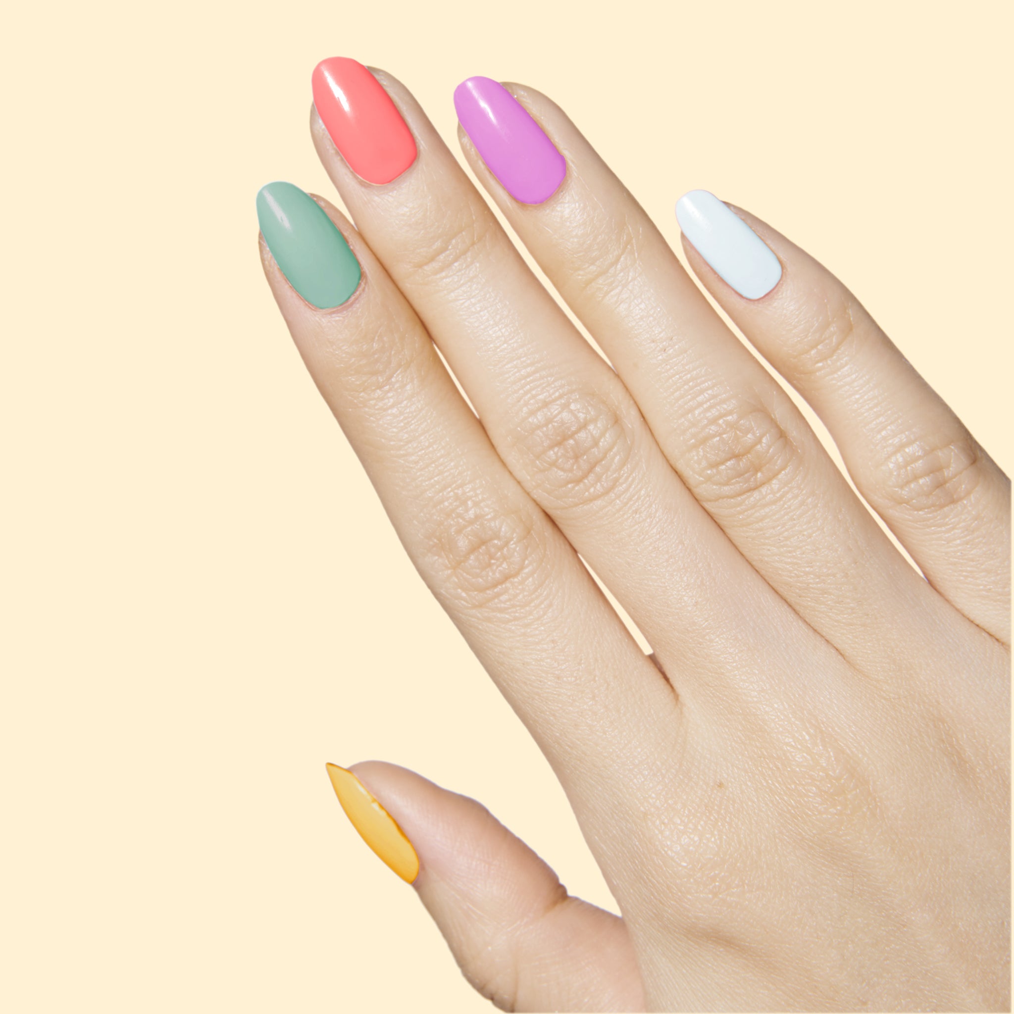 Flower Power、mySite、solidvoid