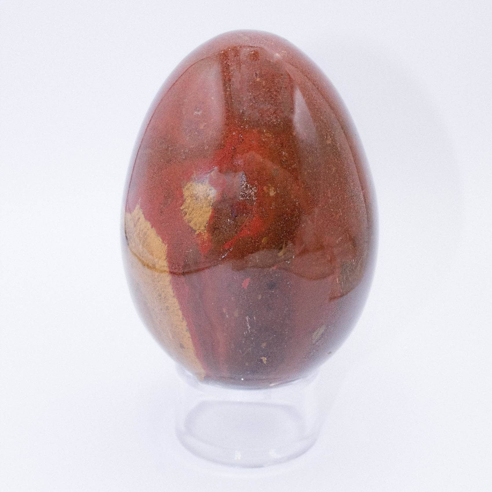 Petrified Wood Egg - AAA Premium Quality、mySite、hinf8tx79