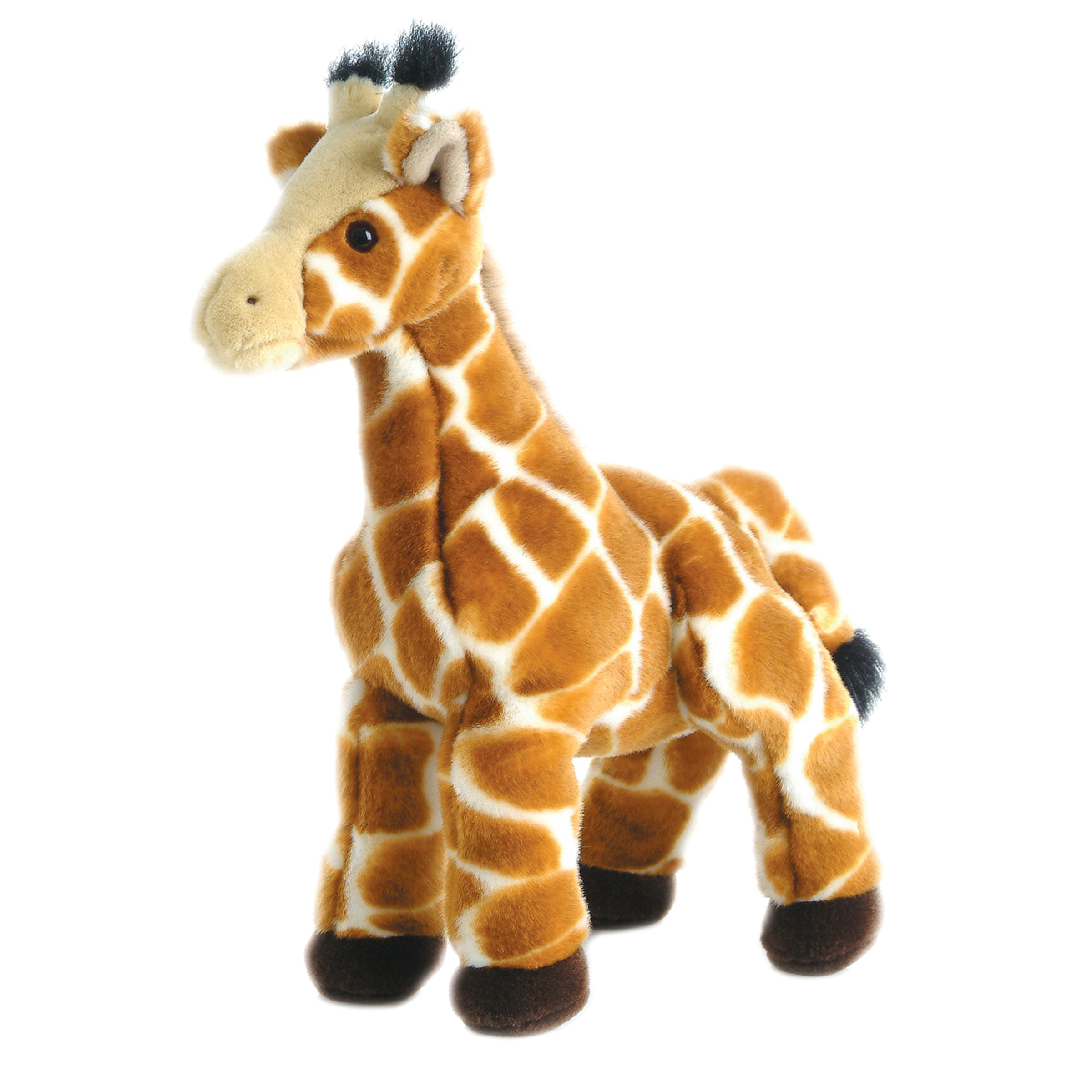 Aurora® - Flopsie™ - 12 Zenith™、mySite、g9winljtr