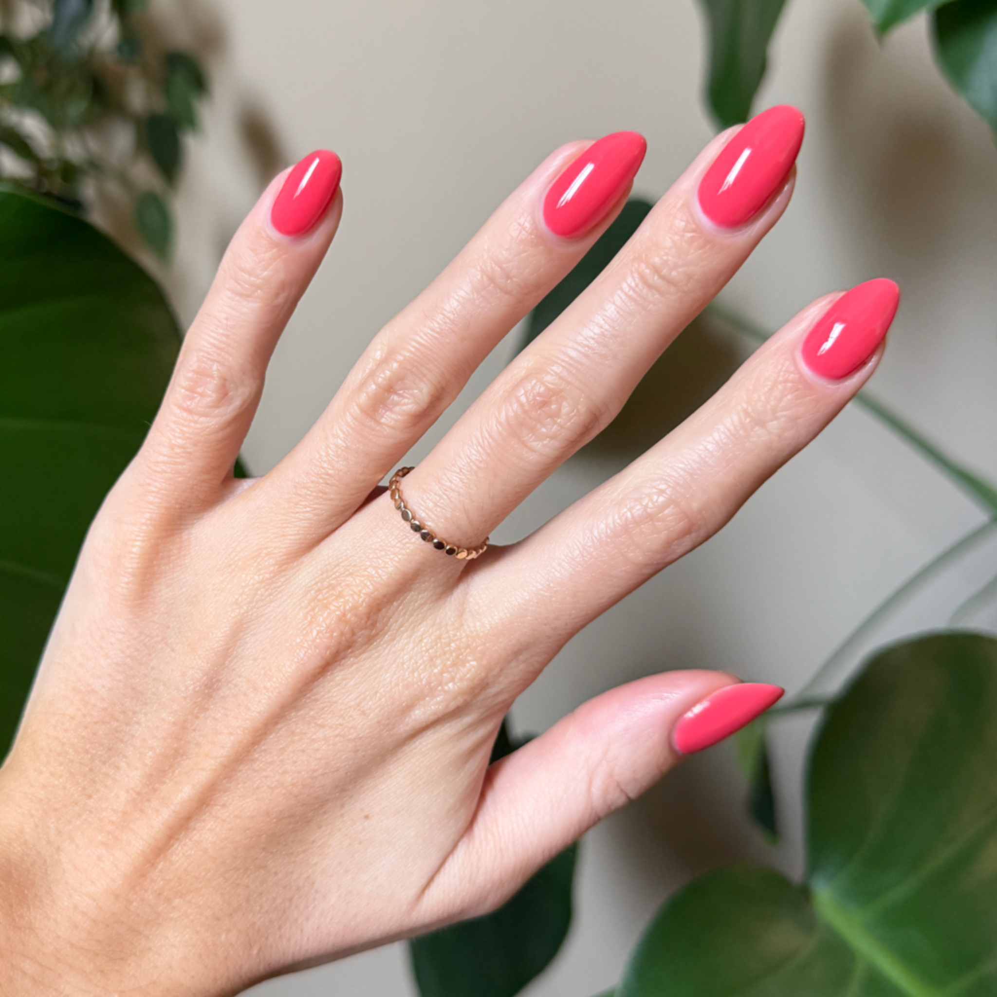 Field Day - Gel、mySite、solidvoid