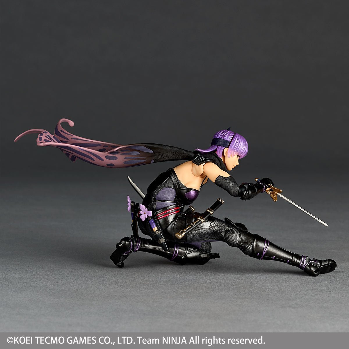 Amazing Yamaguchi Revoltech NR067 Ninja Gaiden 3: Razor's Edge Ayane、mySite、hgirdovlk