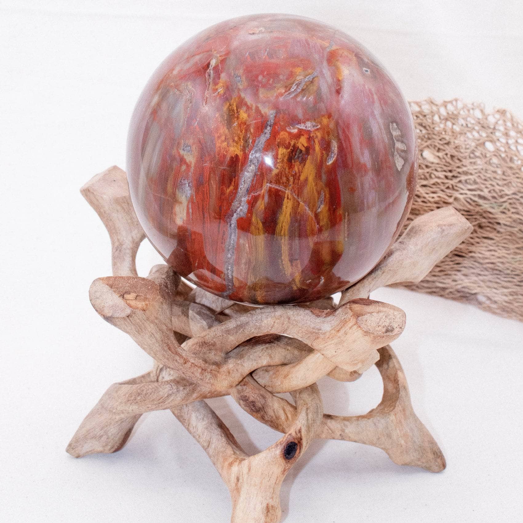 Petrified Wood Sphere - AAA Premium Quality、mySite、hinf8tx79