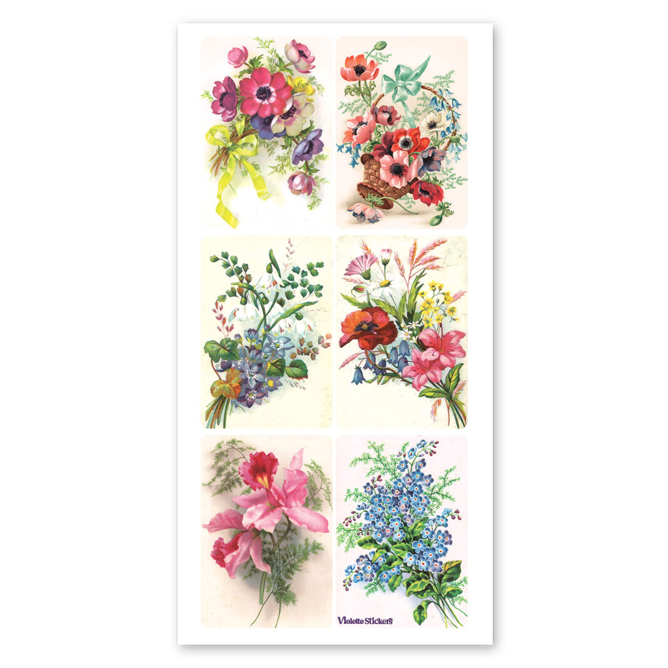  Venus Stickers、mySite、ghnorth