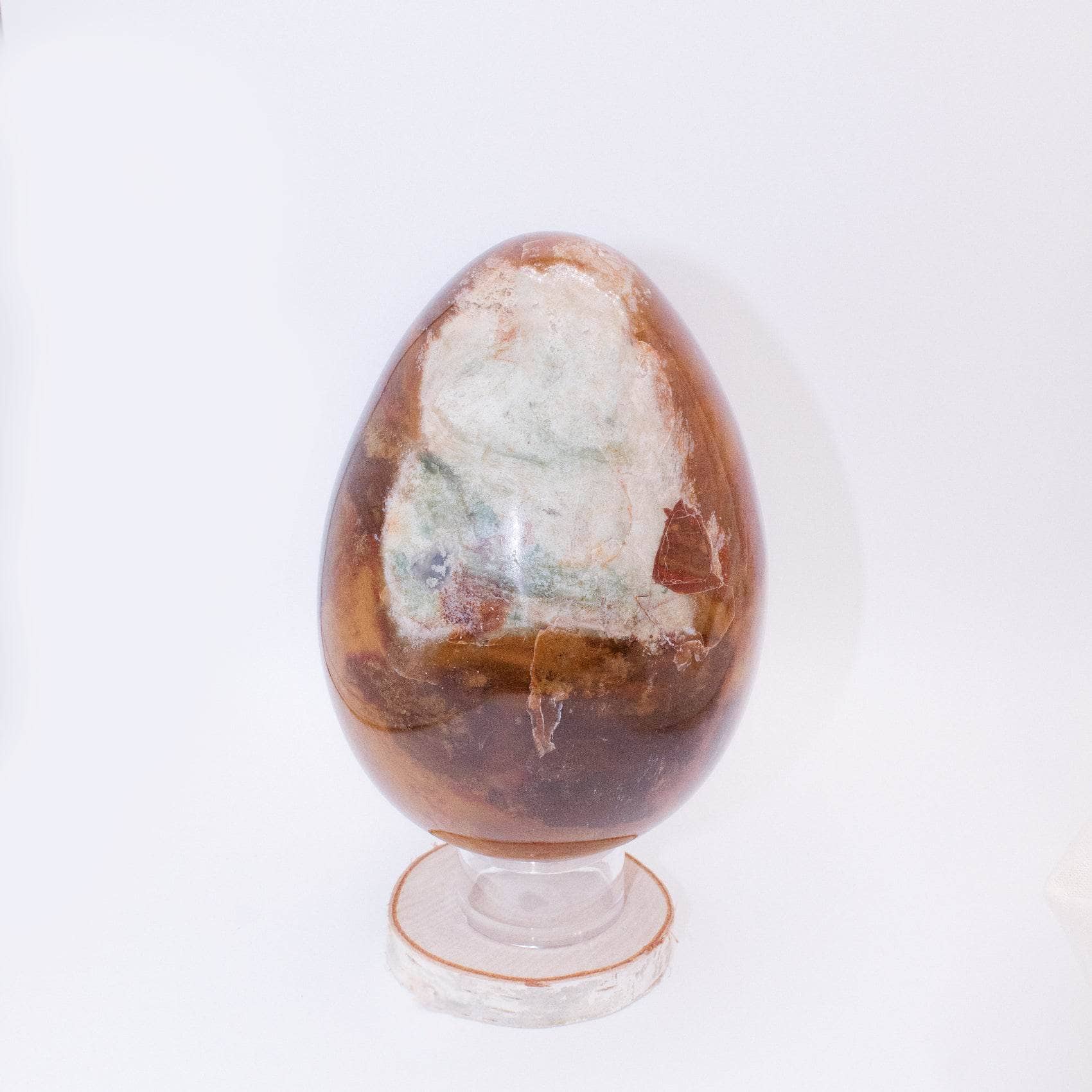 Petrified Wood Egg - AAA Premium Quality、mySite、hinf8tx79