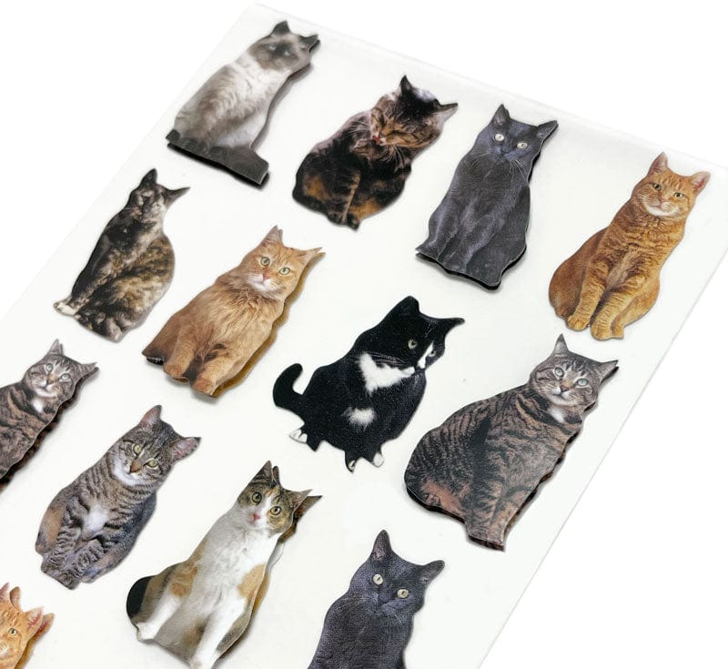  Scrapbook Stickers - Mixed Cats 3D、mySite、ghnorth