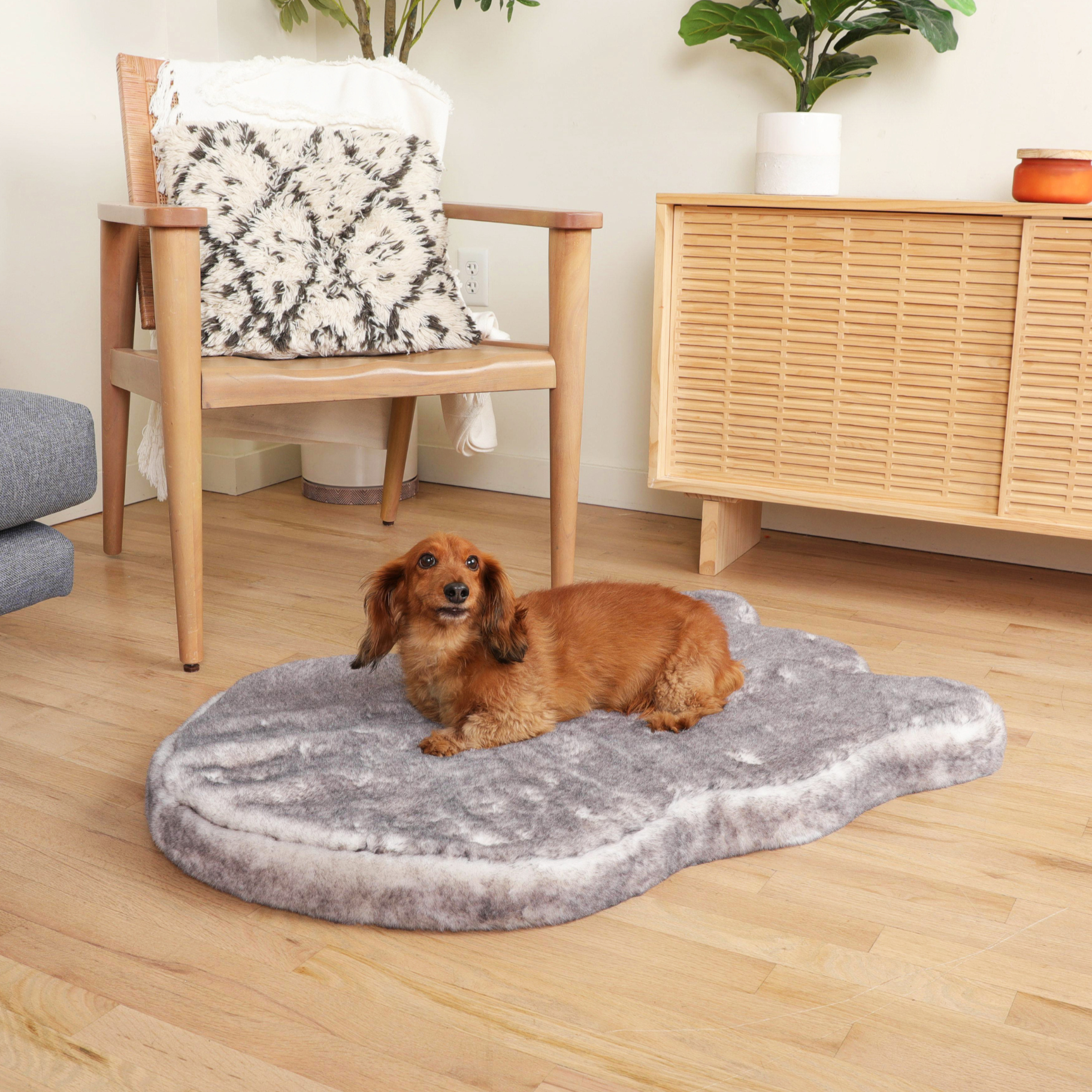 PupRug™ Luxe Faux Fur Orthopedic Dog Bed - Ultra Soft Chinchilla、mySite、solidvoid