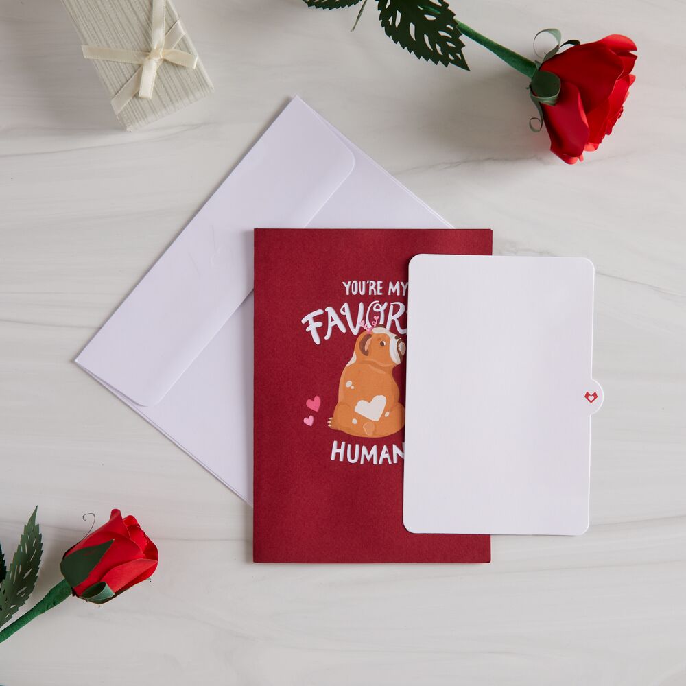 You’re My Favorite Human Pop-Up Card、mySite、solidvoid