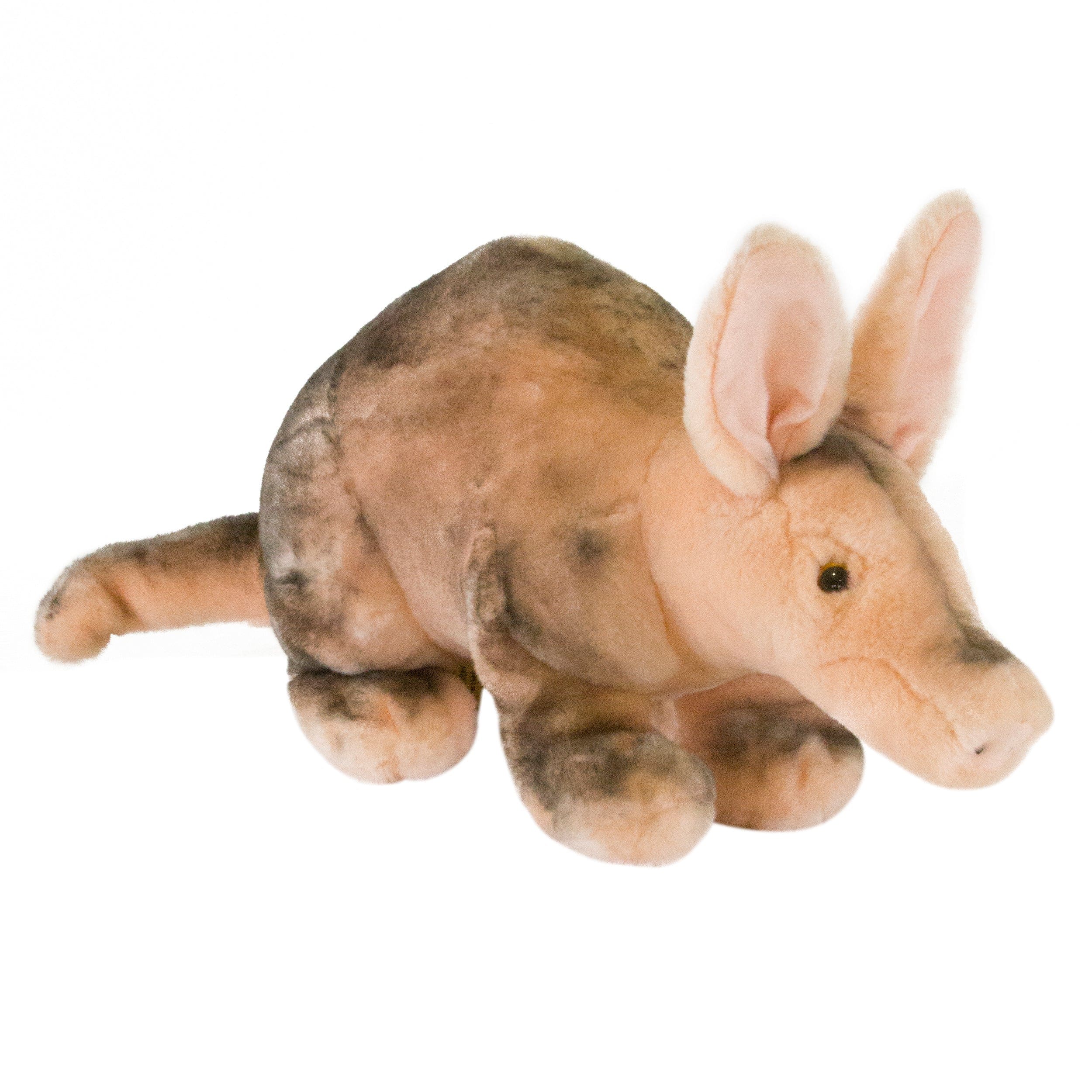 Realistic Stuffed Aardvark Eco-friendly、mySite、g9winljtr