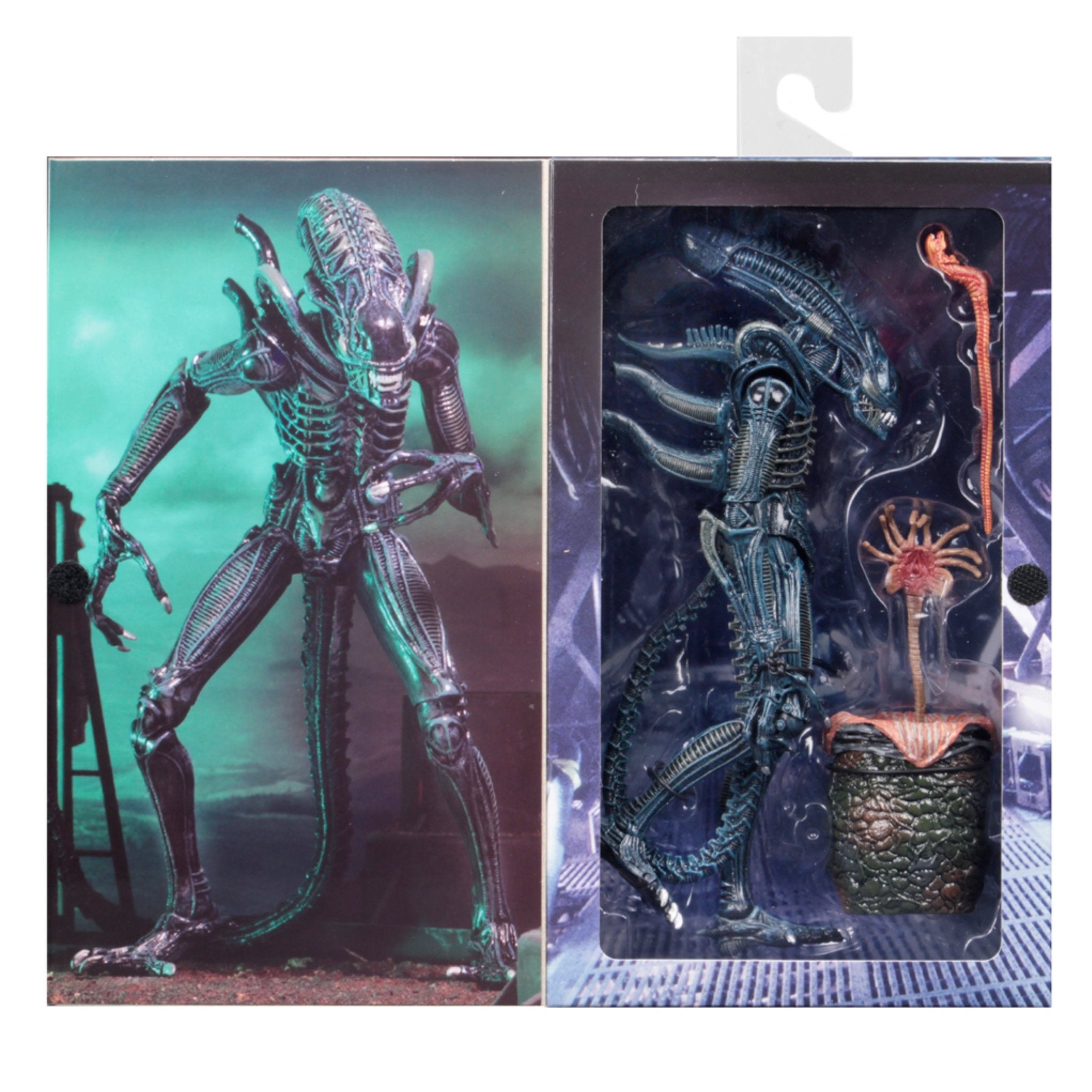 NECA Ultimate Aliens Warrior (Blue)、mySite、hgirdovlk