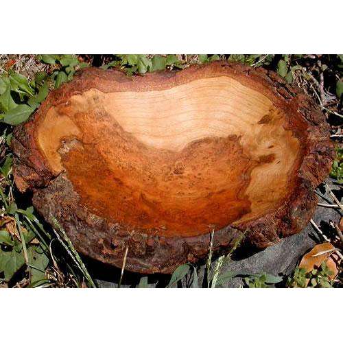 Spencer Peterman Cherry Burl Bowl、mySite、topwebapps