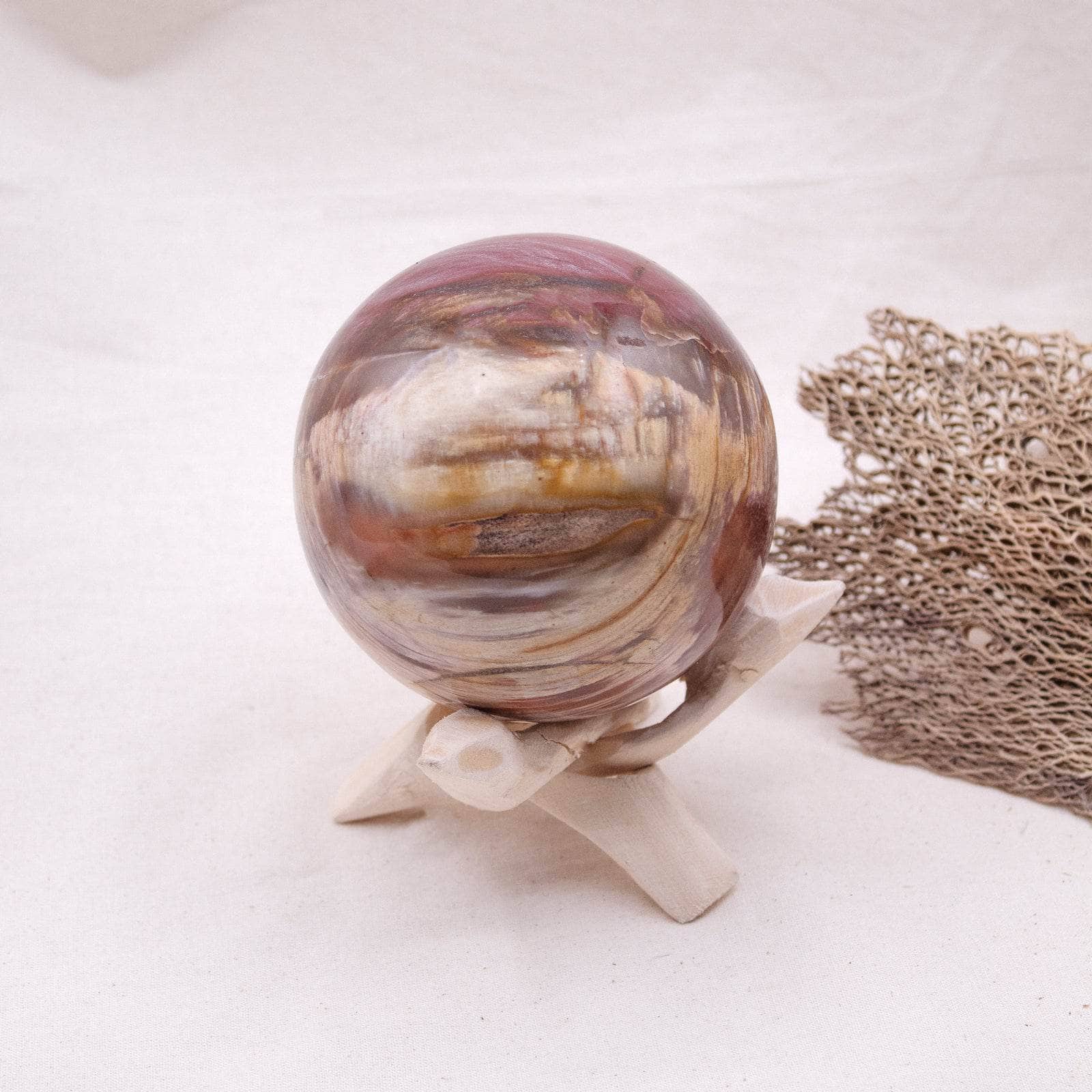 Petrified Wood Sphere - AAA Premium Quality、mySite、hinf8tx79