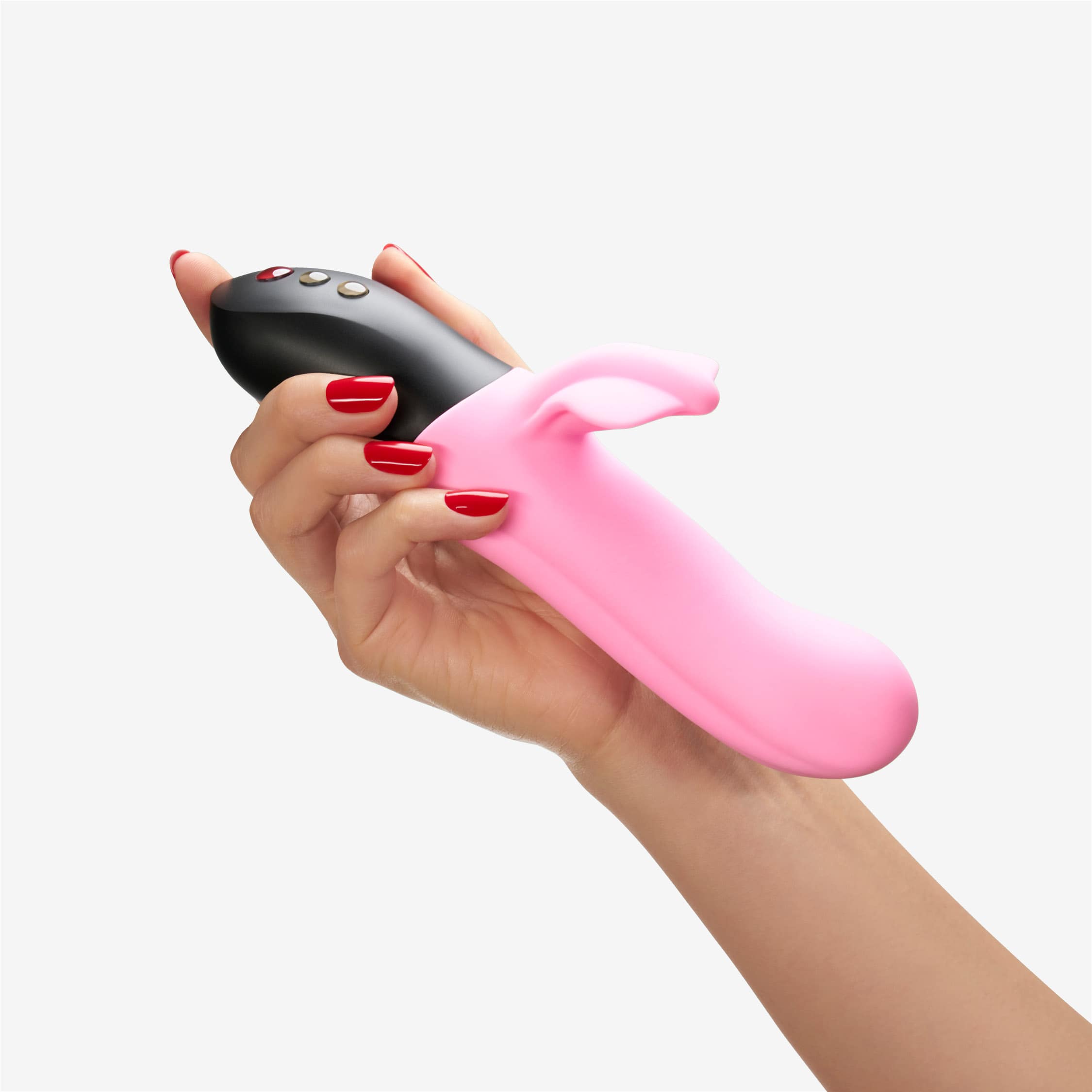 BI STRONIC FUSION、mySite、bottomscart