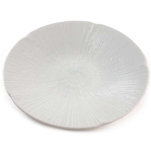 Ceramic Dinner Plate with White Shell Pattern、mySite、topwebapps