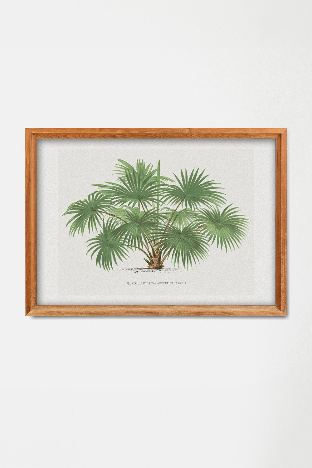 Vintage Palm Tree Landscape Art Print、mySite、gigharbornorthrealestate