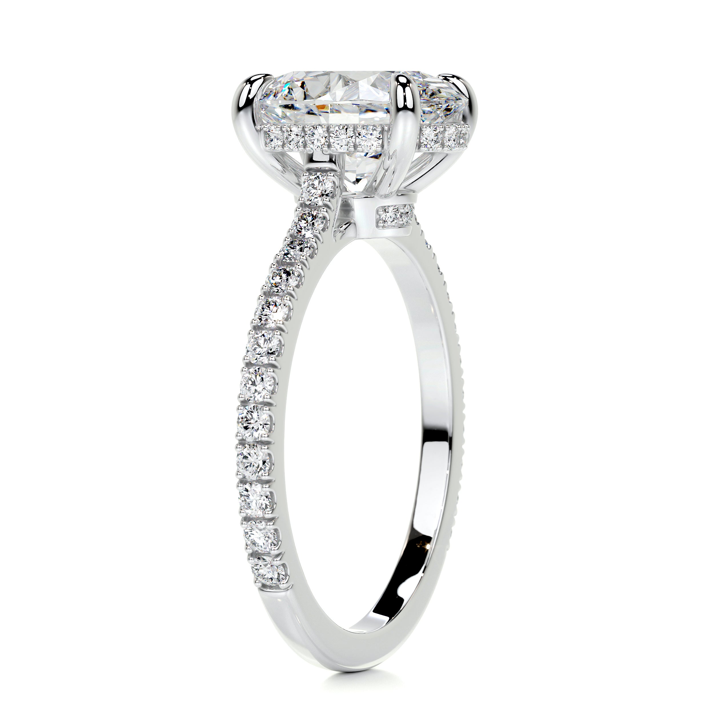 Dionne Moissanite & Diamond Ring -18K White Gold、mySite、hinf8tx79