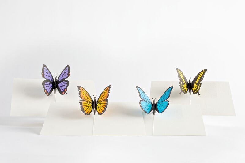 Butterfly Notecards (Assorted 4-Pack)、mySite、solidvoid