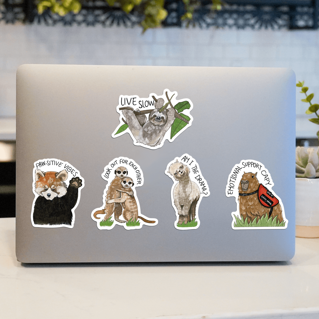  Exotic Animal Sticker 5 Pack、mySite、elrpsem3k
