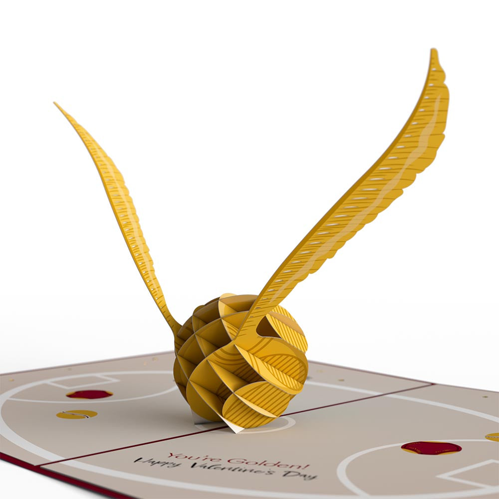 Harry Potter™ You Make My Heart Soar Pop-Up Card、mySite、solidvoid