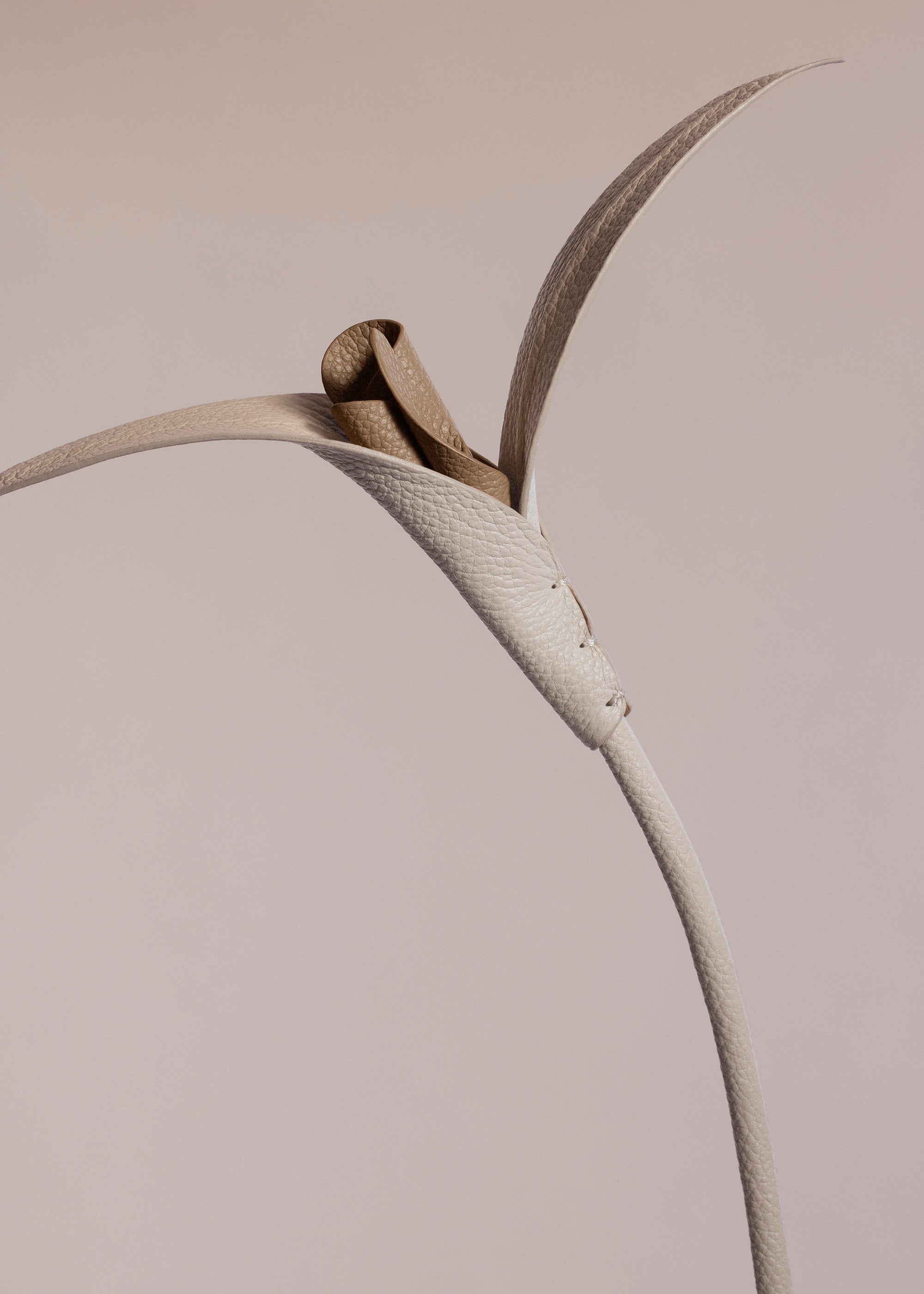 Fleur Touka - Trio Craie Grain茅、mySite、camillekostekn