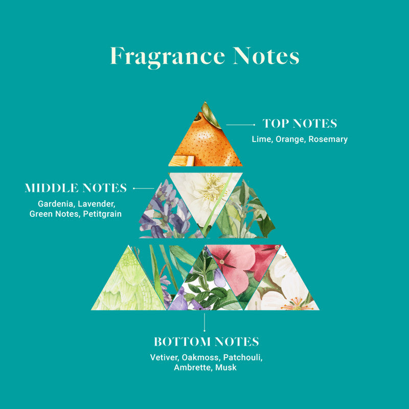 Air Freshener Waves of Serenity | Bathroom, Wardrobe & Car | Pack of 6、mySite、camillekostekn