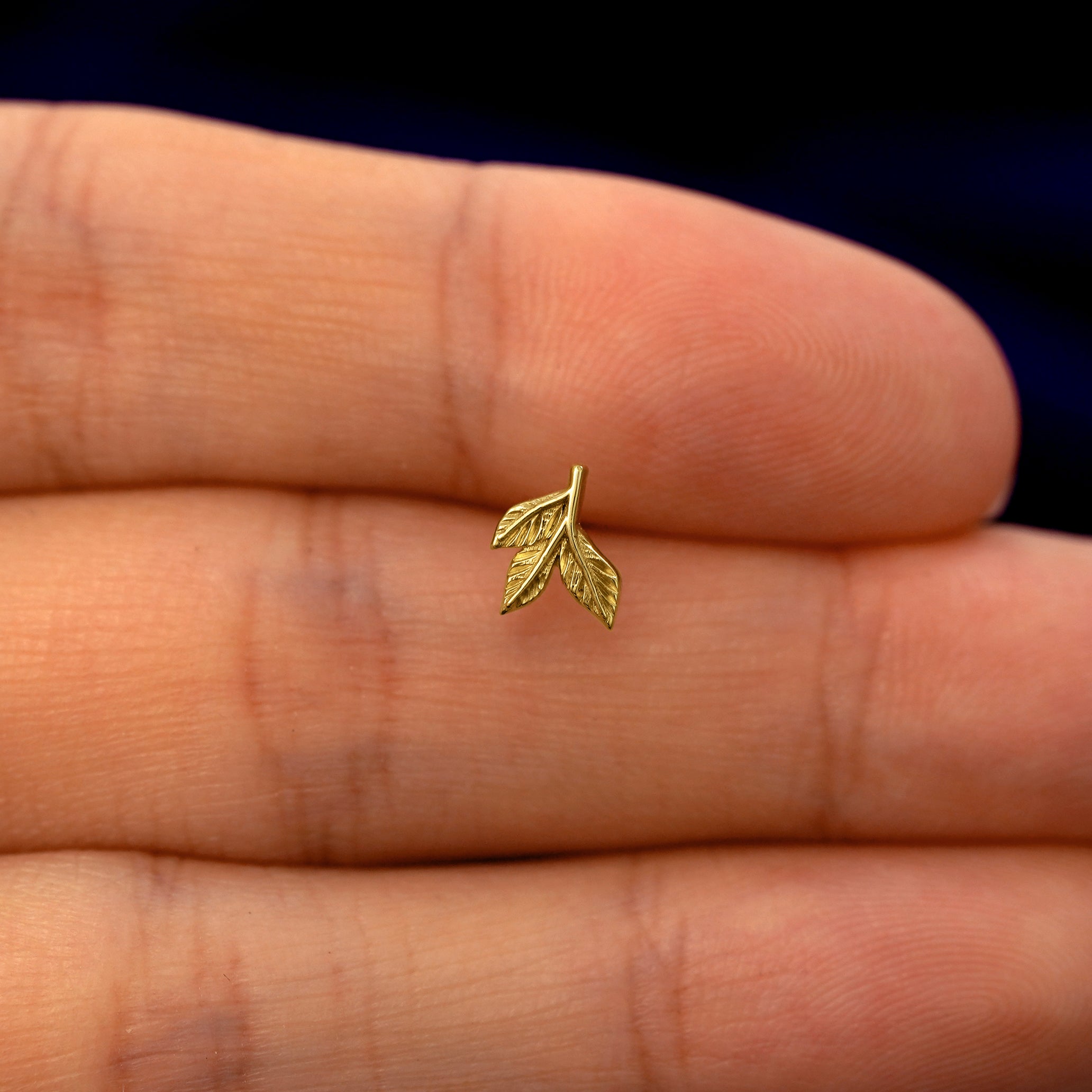 3 Leaves Earring、mySite、hinf8tx79