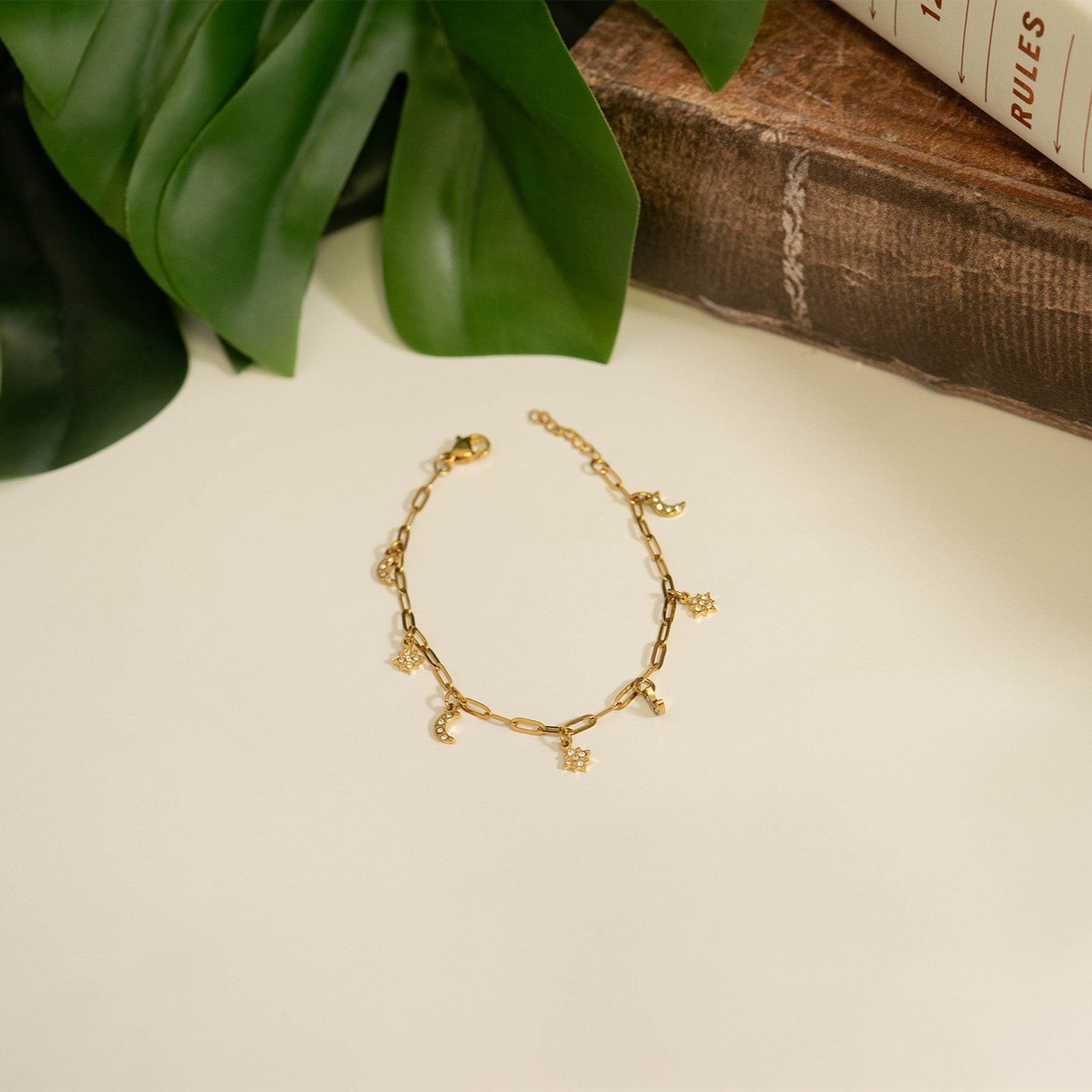 18K Gold PVD Stainless Steel Moon & Star Charm Bracelet / BRJ1009、mySite、dreamappss