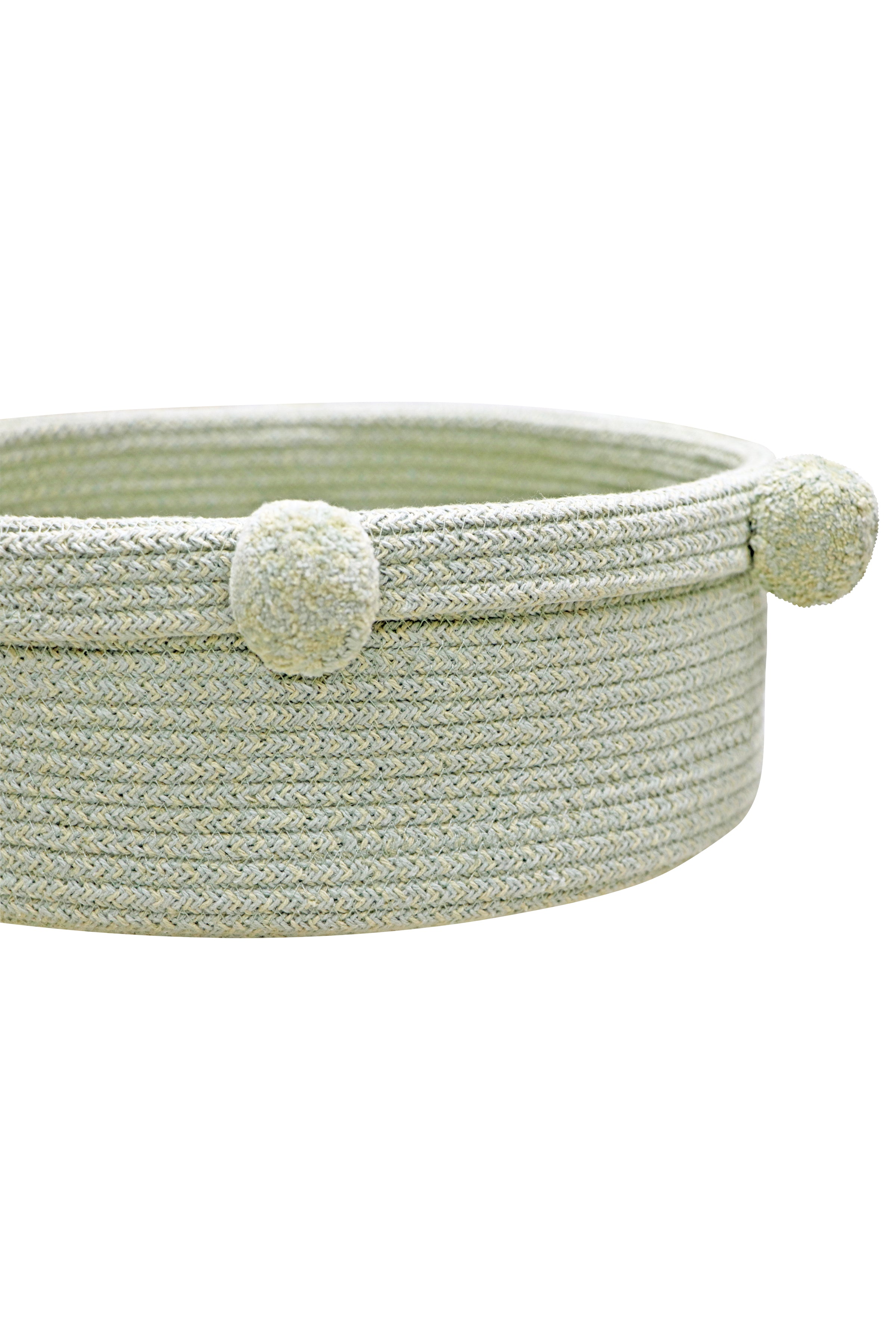 BASKET TRAY OLIVE、mySite、gigharbornorthrealestate