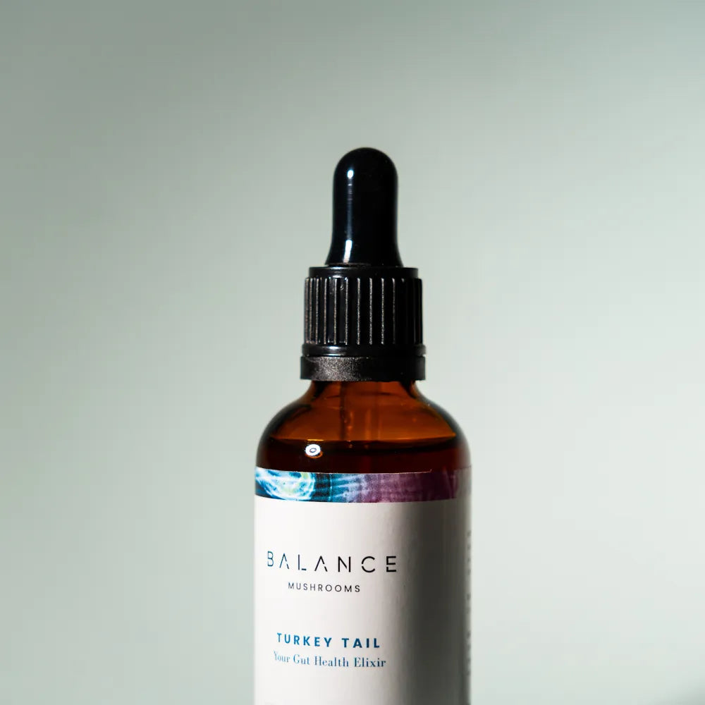 Turkey Tail、mySite、gigharbornorthrealestate