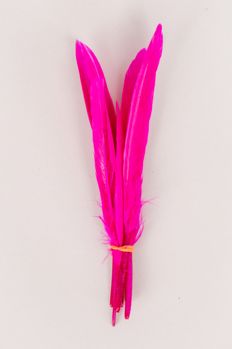 Mini Goose Feathers Bundle of 6- Orange Rubber Band - FINAL SALE、mySite、hinf8tx79
