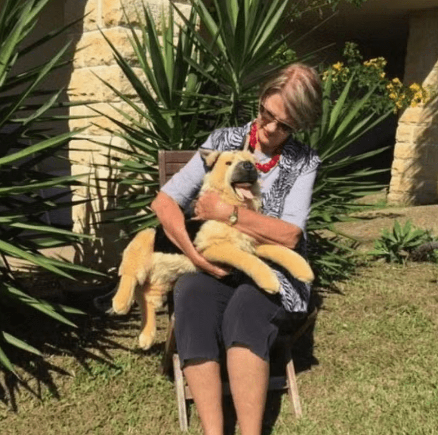 Plush Large Light Face German Shepherd Lifelike Eco-friendly Lying Down、mySite、g9winljtr