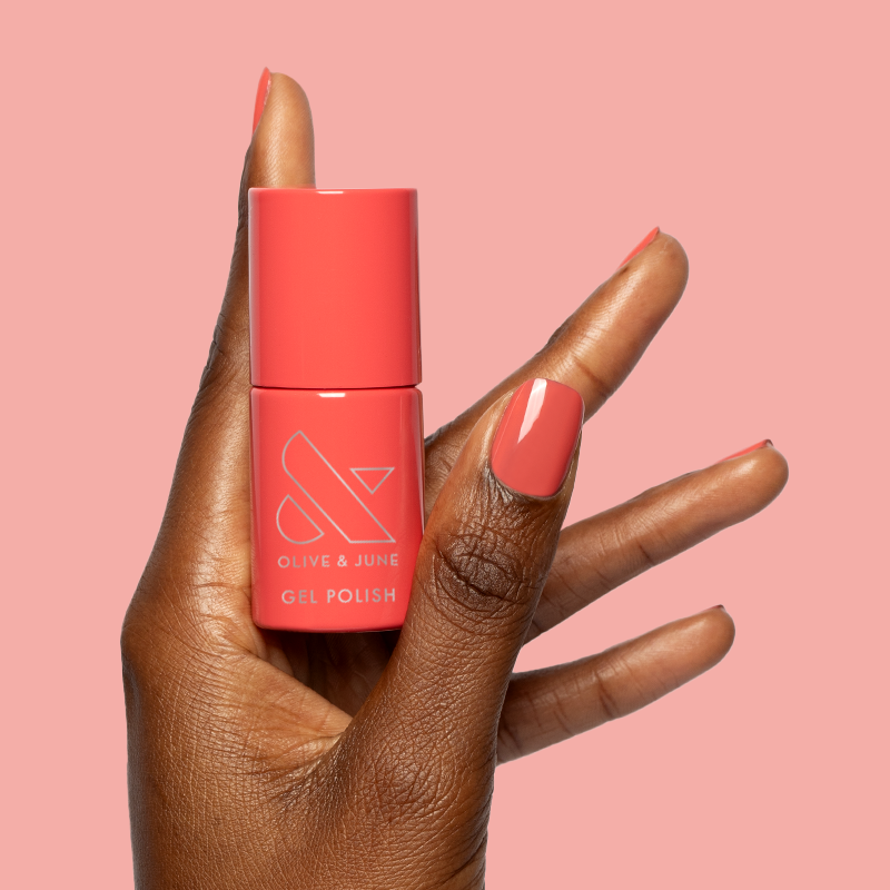 Field Day - Gel、mySite、solidvoid