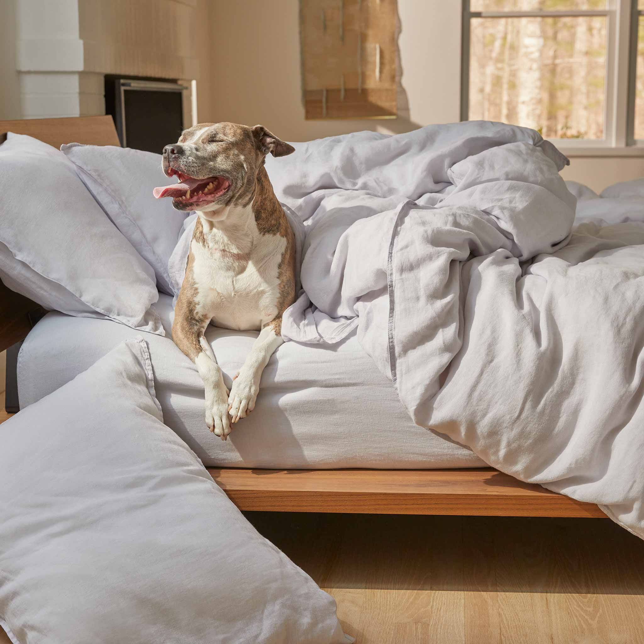  Washed Linen Core Sheet Set - Last Call、mySite、sugarbowlscore