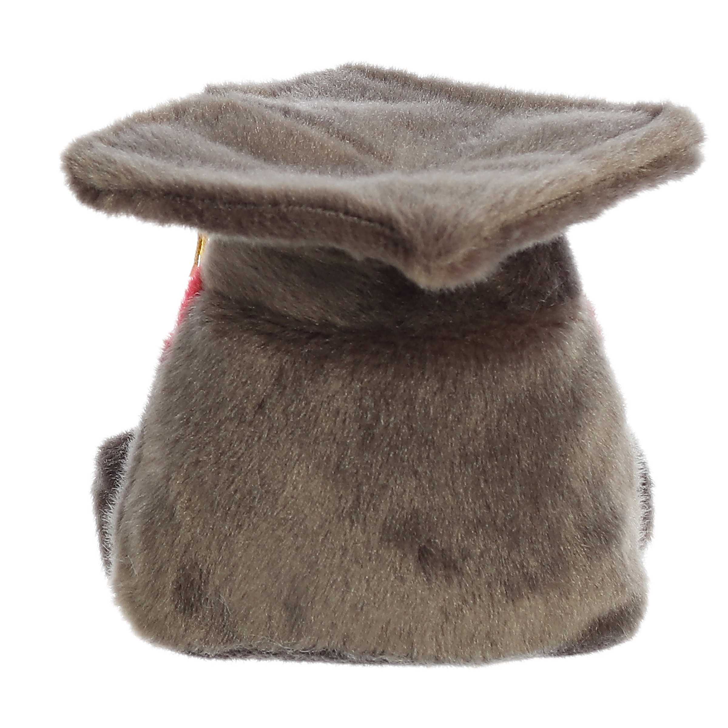 Aurora® - Palm Pals™ - 5 Scholarly Graduation Cap™、mySite、g9winljtr