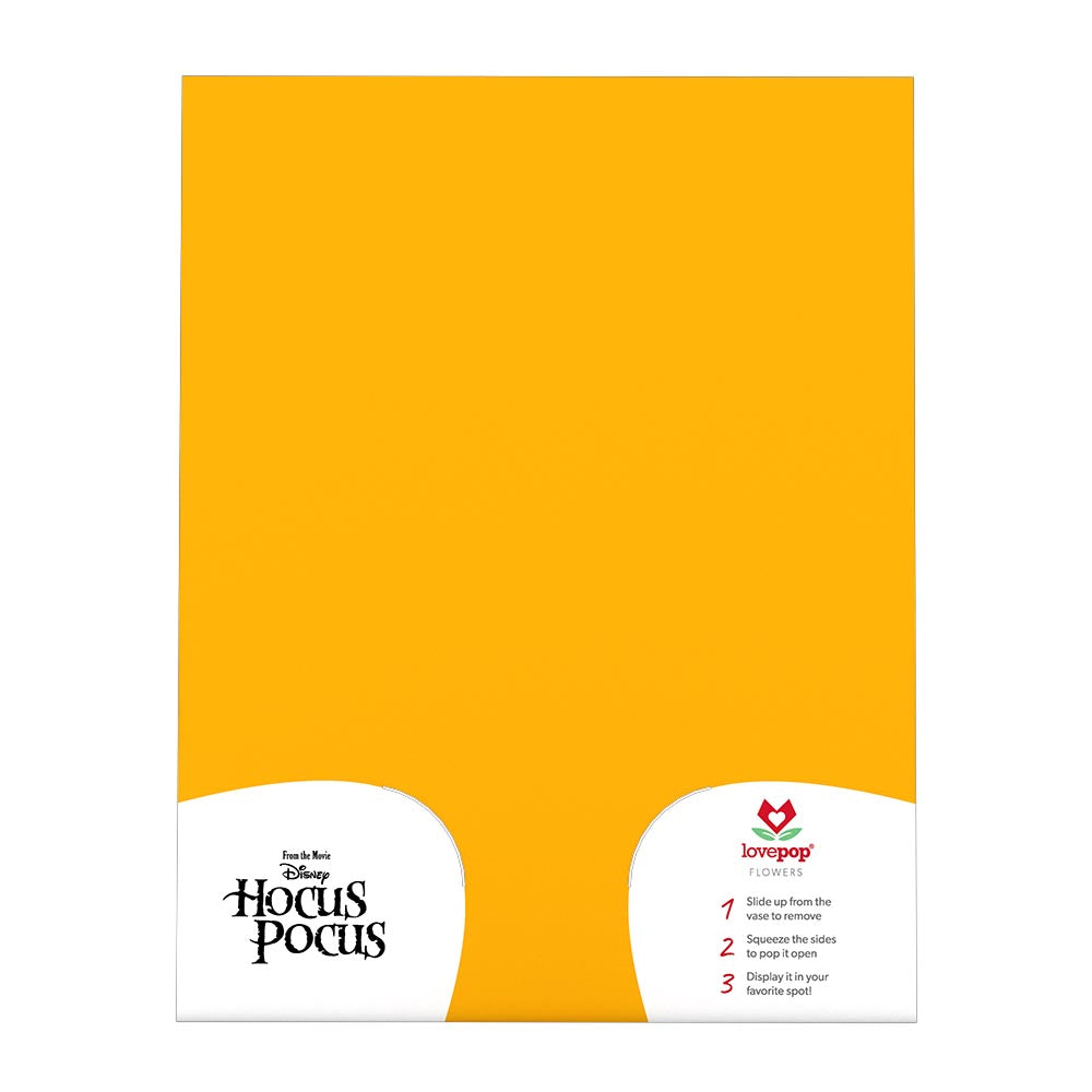 Disney Hocus Pocus Spellbinding Bouquet、mySite、solidvoid