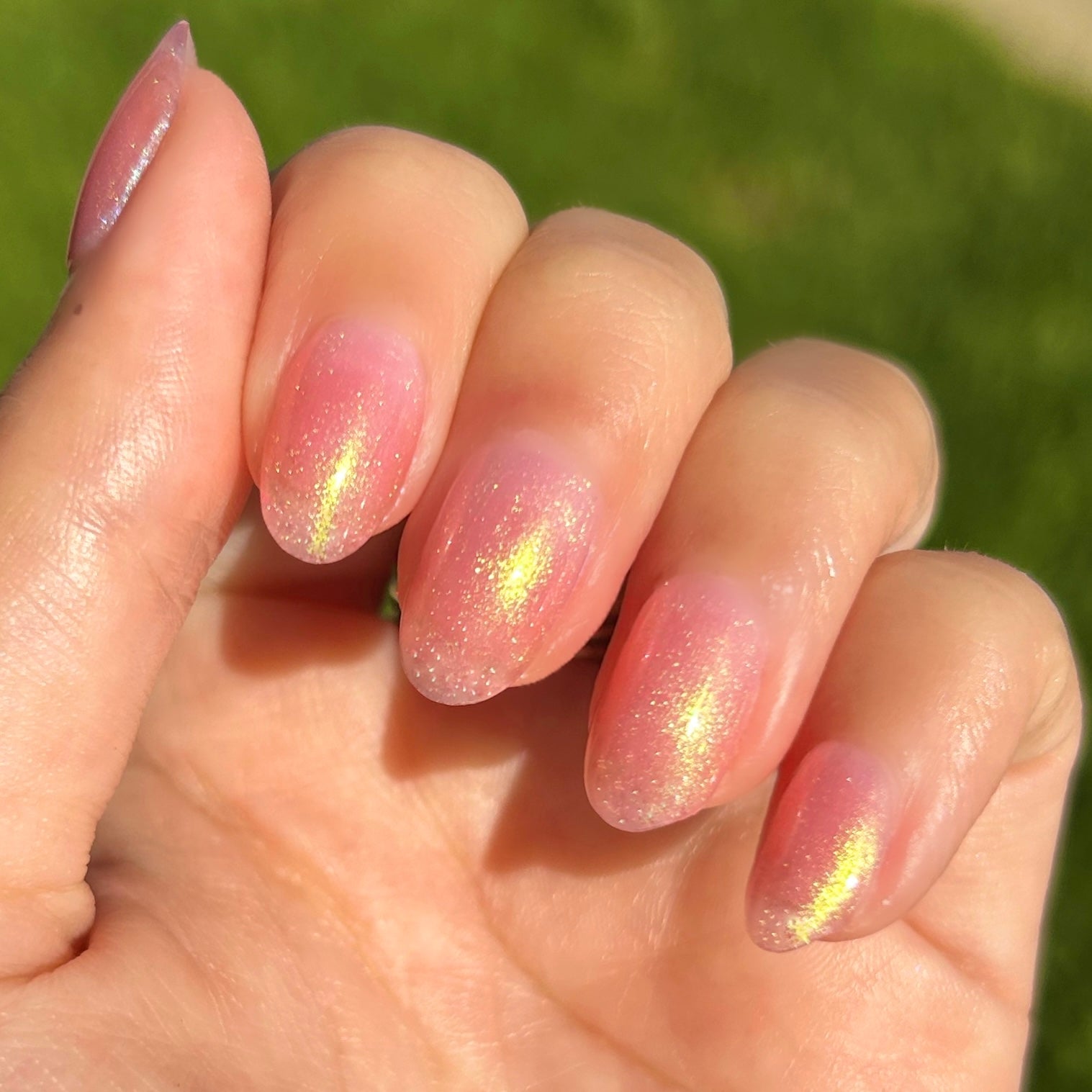 Candy Coral、mySite、solidvoid