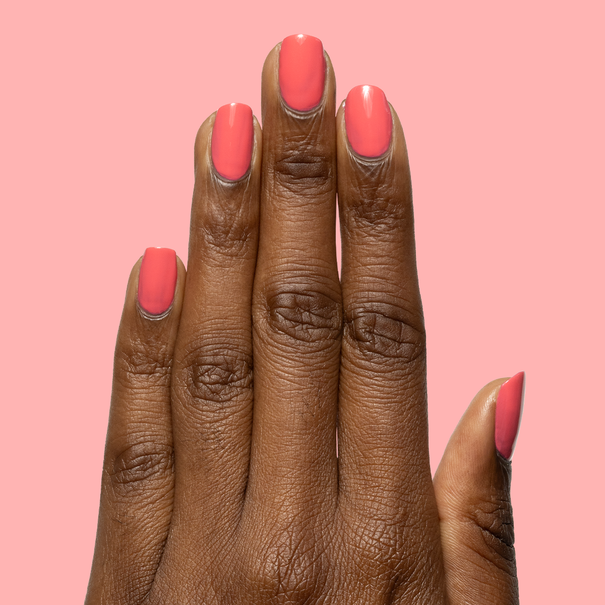 Maine Character Energy、mySite、solidvoid