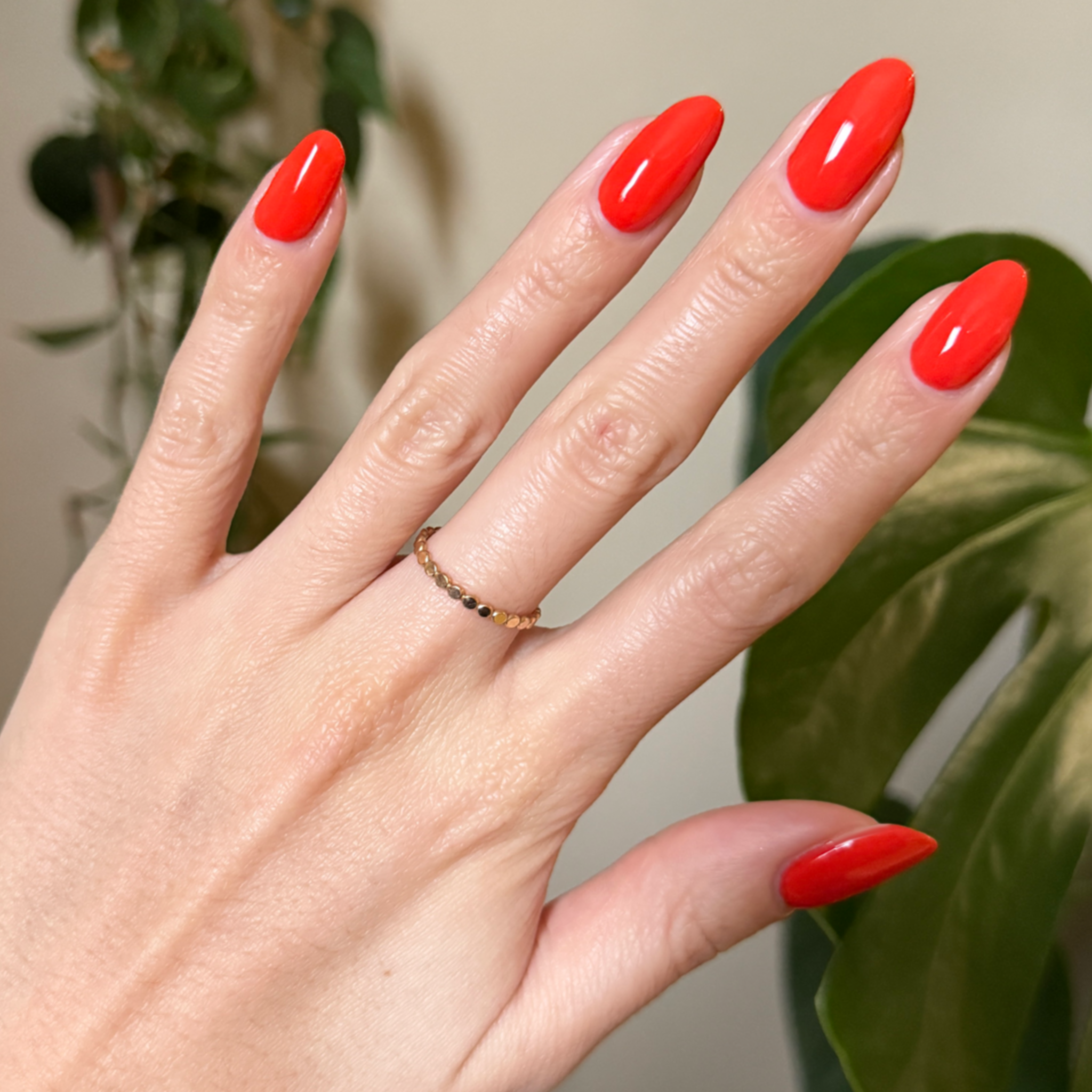 Snapdragon、mySite、solidvoid