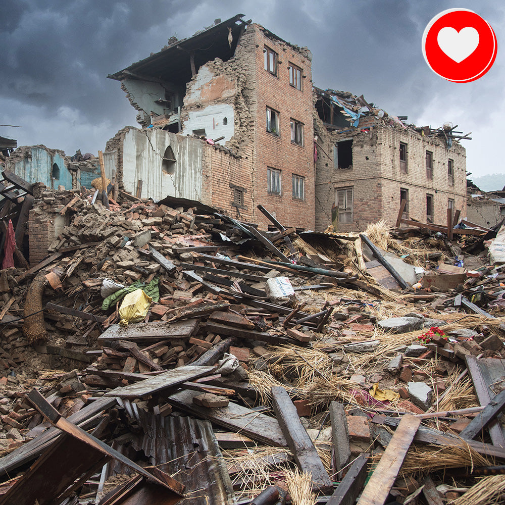 Help People and Pet Victims of Earthquakes、mySite、camillekostekn