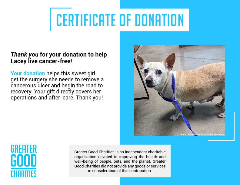 Funded - Help Lacey Live Cancer-Free、mySite、camillekostekn