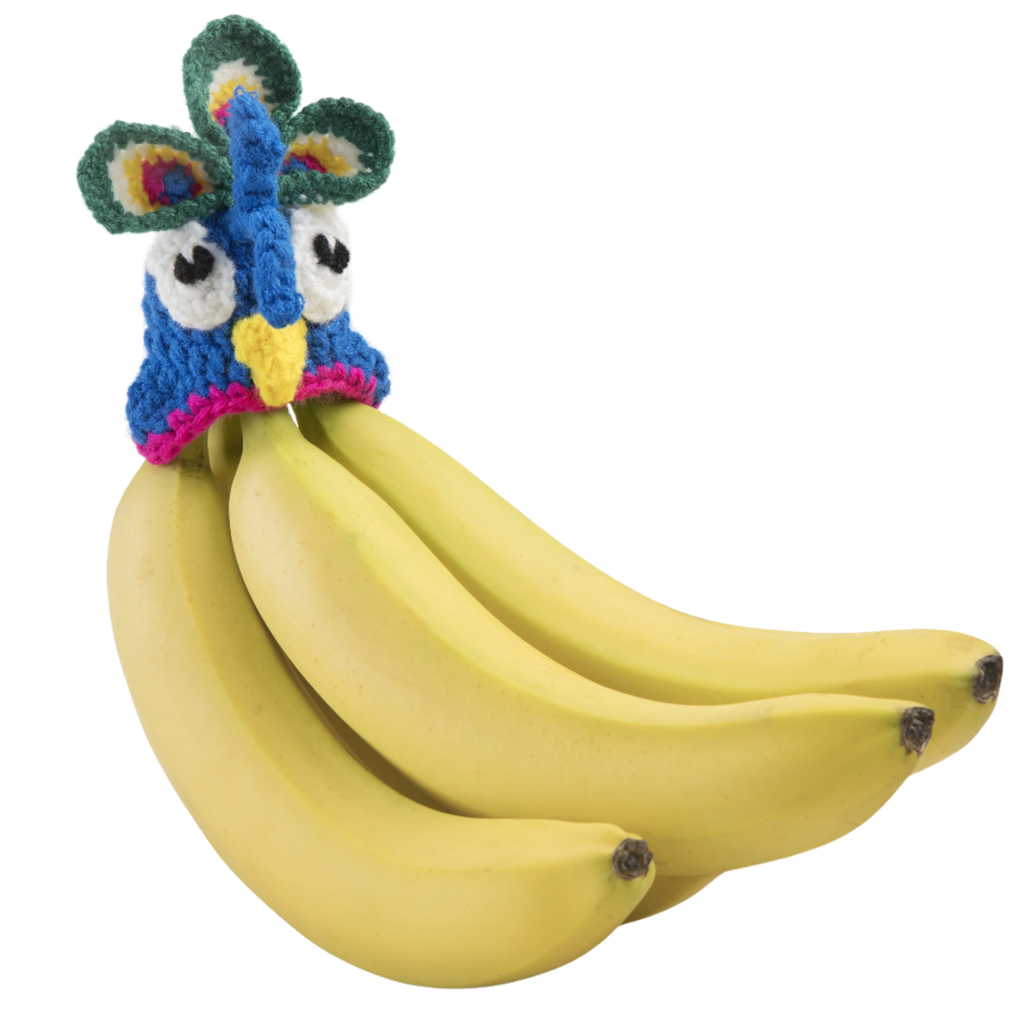 Peacock Nana Hat | Includes 2 Stretchy Silicone Caps with Magnets、mySite、hinf8tx79