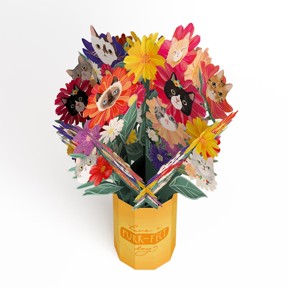 Purr-fect Cat Bouquet、mySite、solidvoid